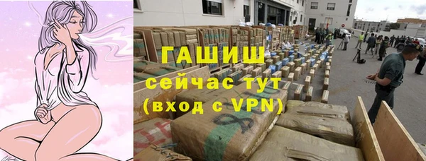эйфоретик Алзамай