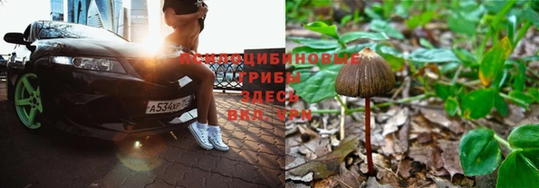 дурь Алексеевка